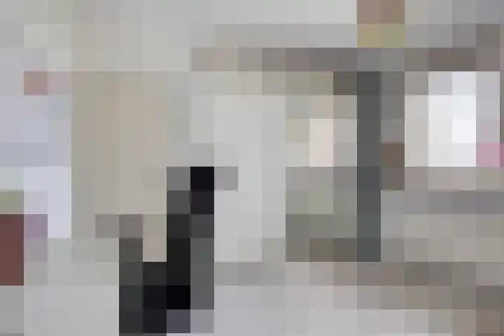 Kruiskampsingel 247 's-Hertogenbosch thumbnail 13