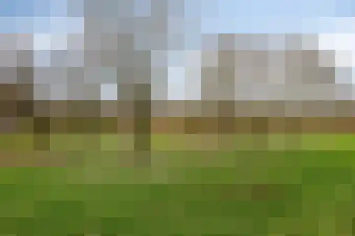 Kruiskampsingel 247 's-Hertogenbosch thumbnail 24