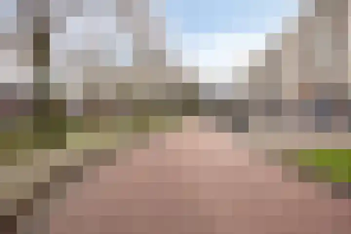 Kruiskampsingel 247 's-Hertogenbosch thumbnail 25