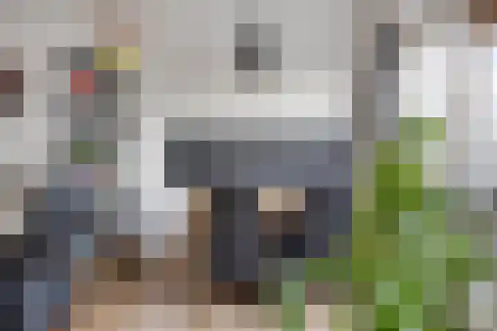 Kruiskampsingel 247 's-Hertogenbosch thumbnail 6