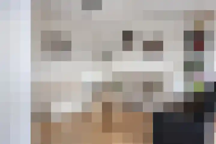 Kruiskampsingel 247 's-Hertogenbosch thumbnail 7