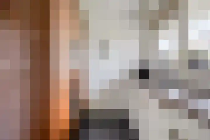 Kruiskampsingel 247 's-Hertogenbosch thumbnail 8