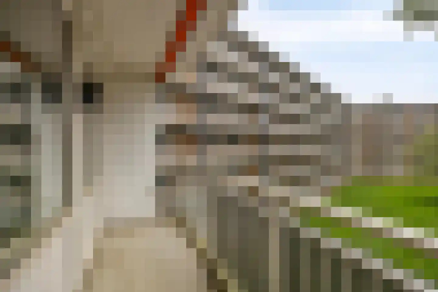 Kruiskampsingel 263 's-Hertogenbosch thumbnail 11