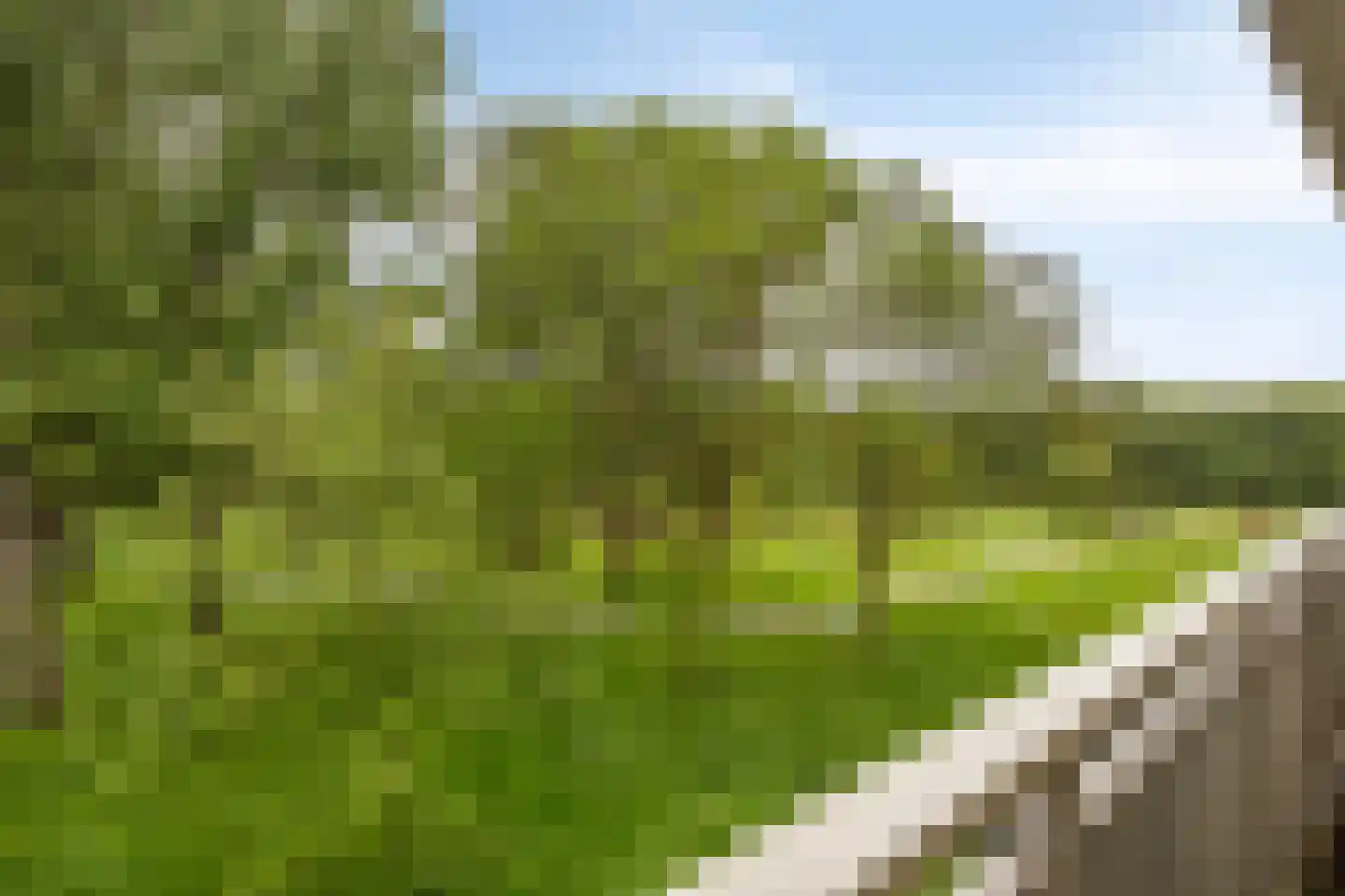Kruiskampsingel 263 's-Hertogenbosch thumbnail 12
