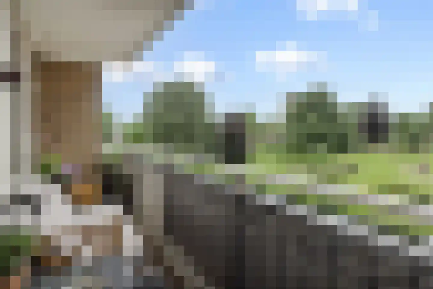 Kruiskampsingel 27 's-Hertogenbosch thumbnail 11
