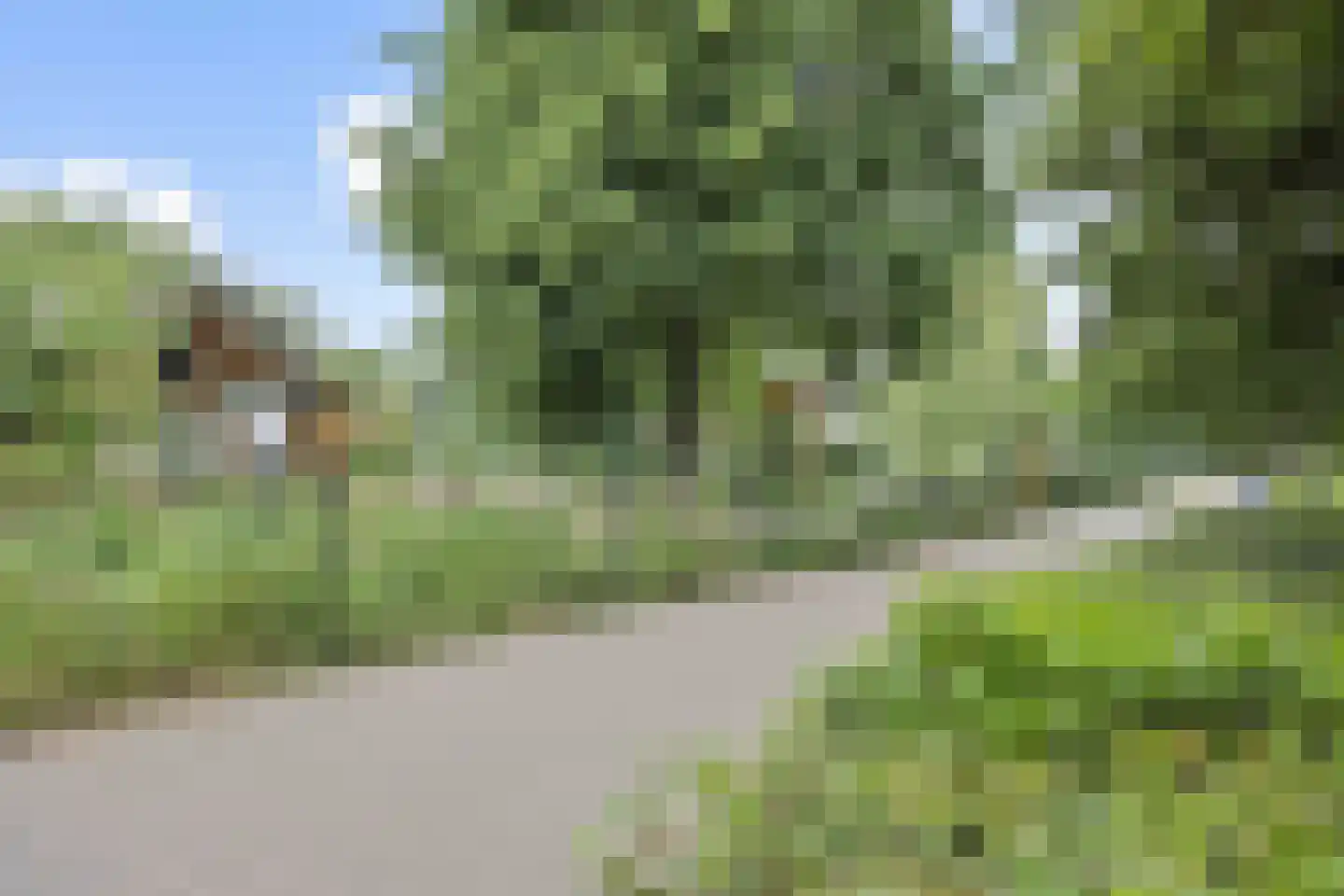 Kruiskampsingel 27 's-Hertogenbosch thumbnail 28