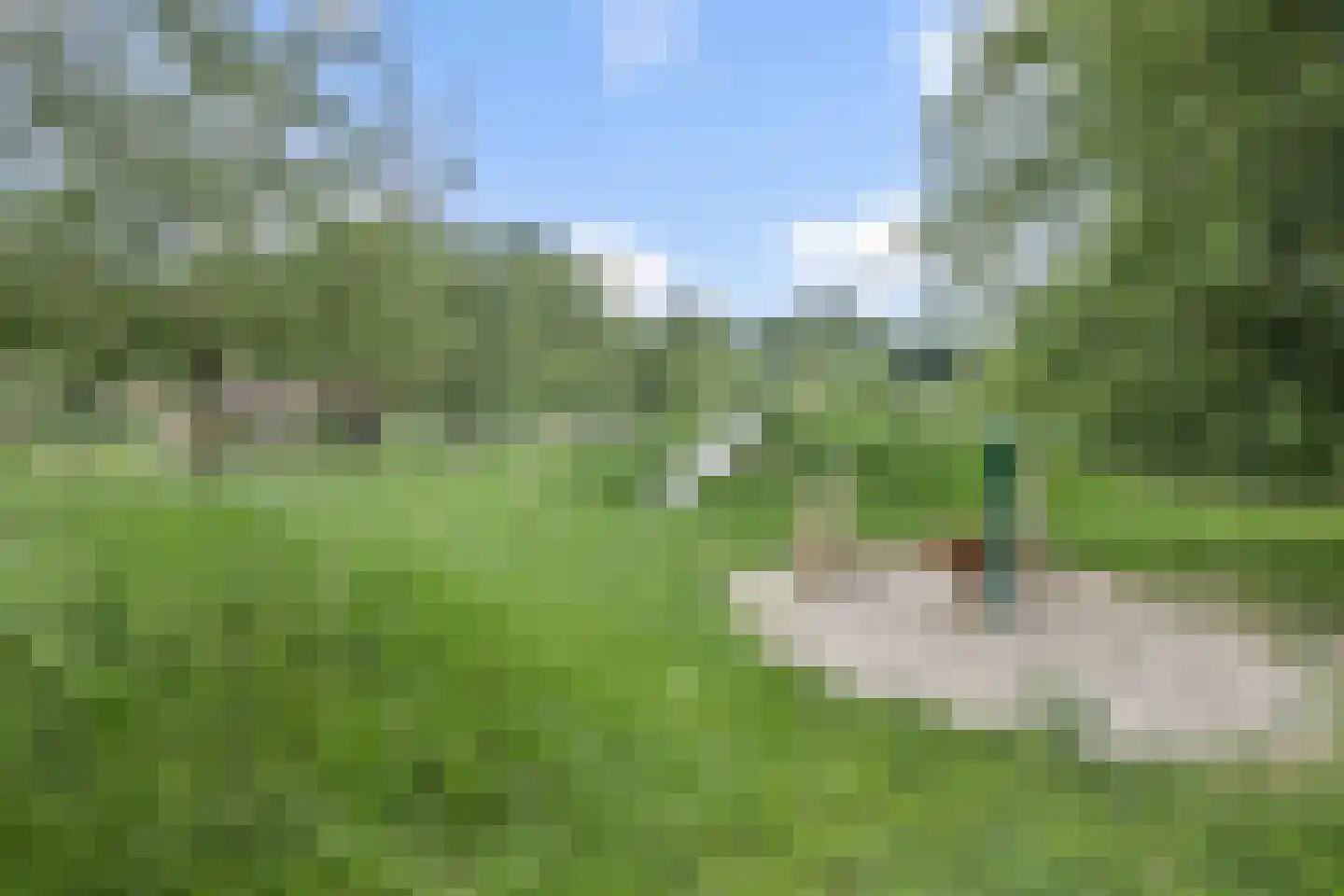 Kruiskampsingel 27 's-Hertogenbosch thumbnail 29