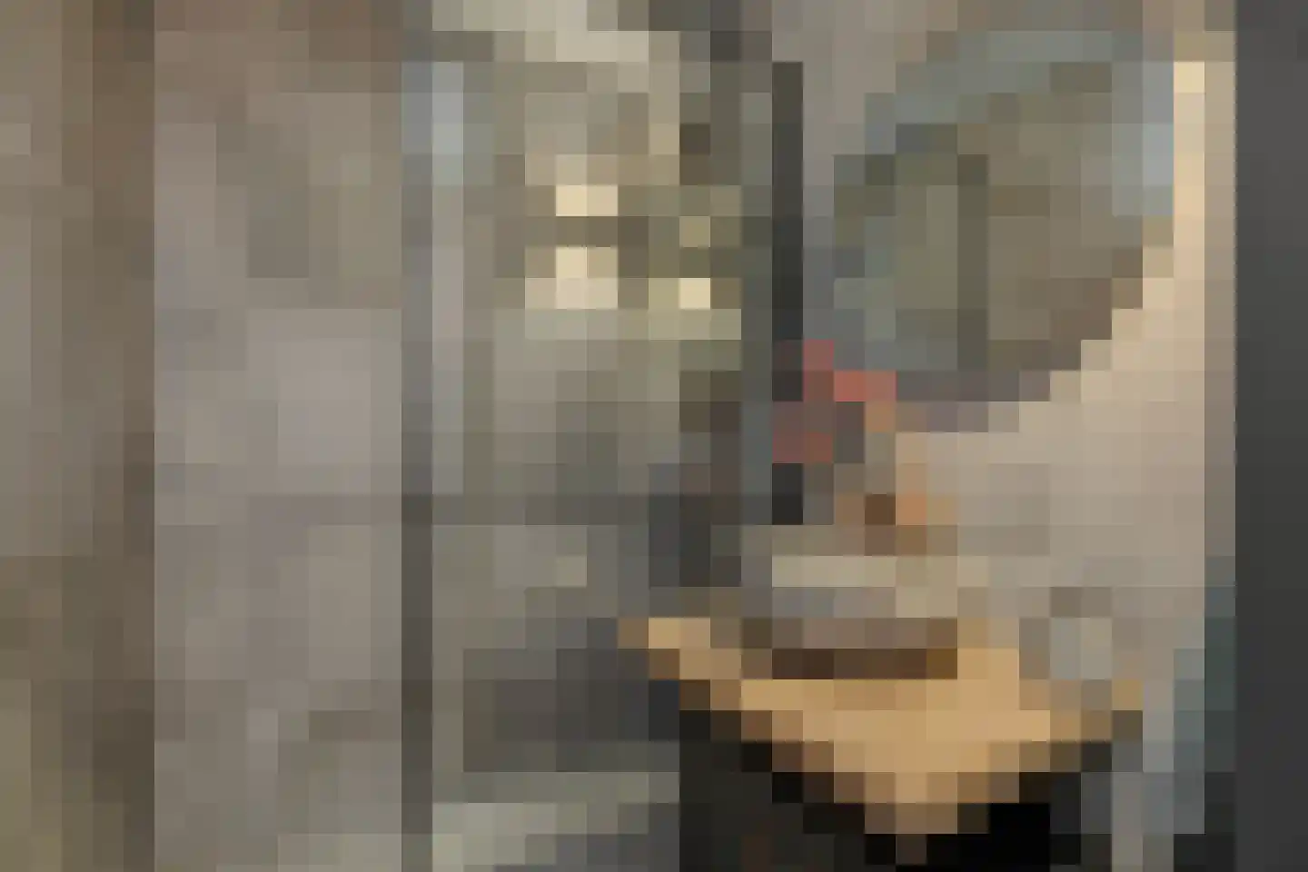 Kruiskampsingel 27 's-Hertogenbosch thumbnail 4