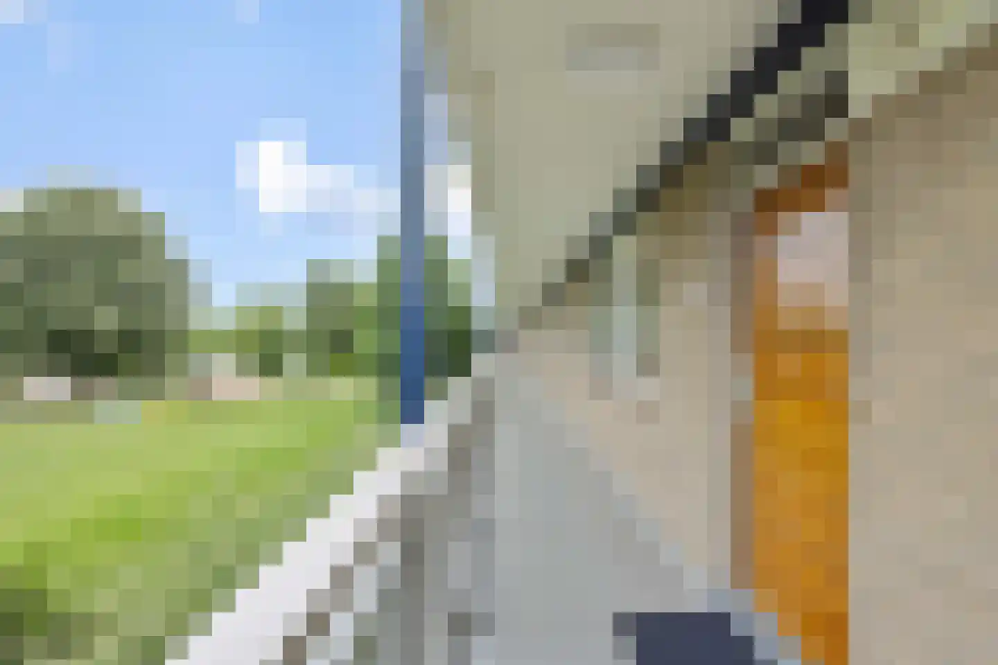 Kruiskampsingel 27 's-Hertogenbosch thumbnail 6