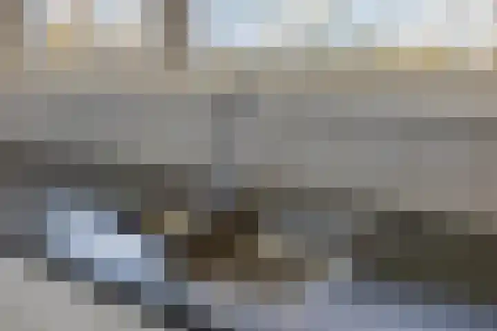 Kruiskampsingel 283 's-Hertogenbosch thumbnail 20