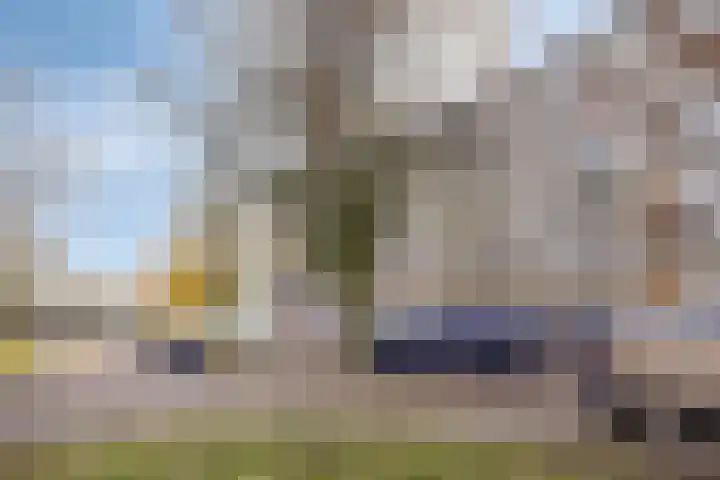 Kruiskampsingel 283 's-Hertogenbosch thumbnail 28