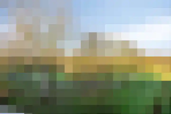 Kruiskampsingel 283 's-Hertogenbosch thumbnail 4