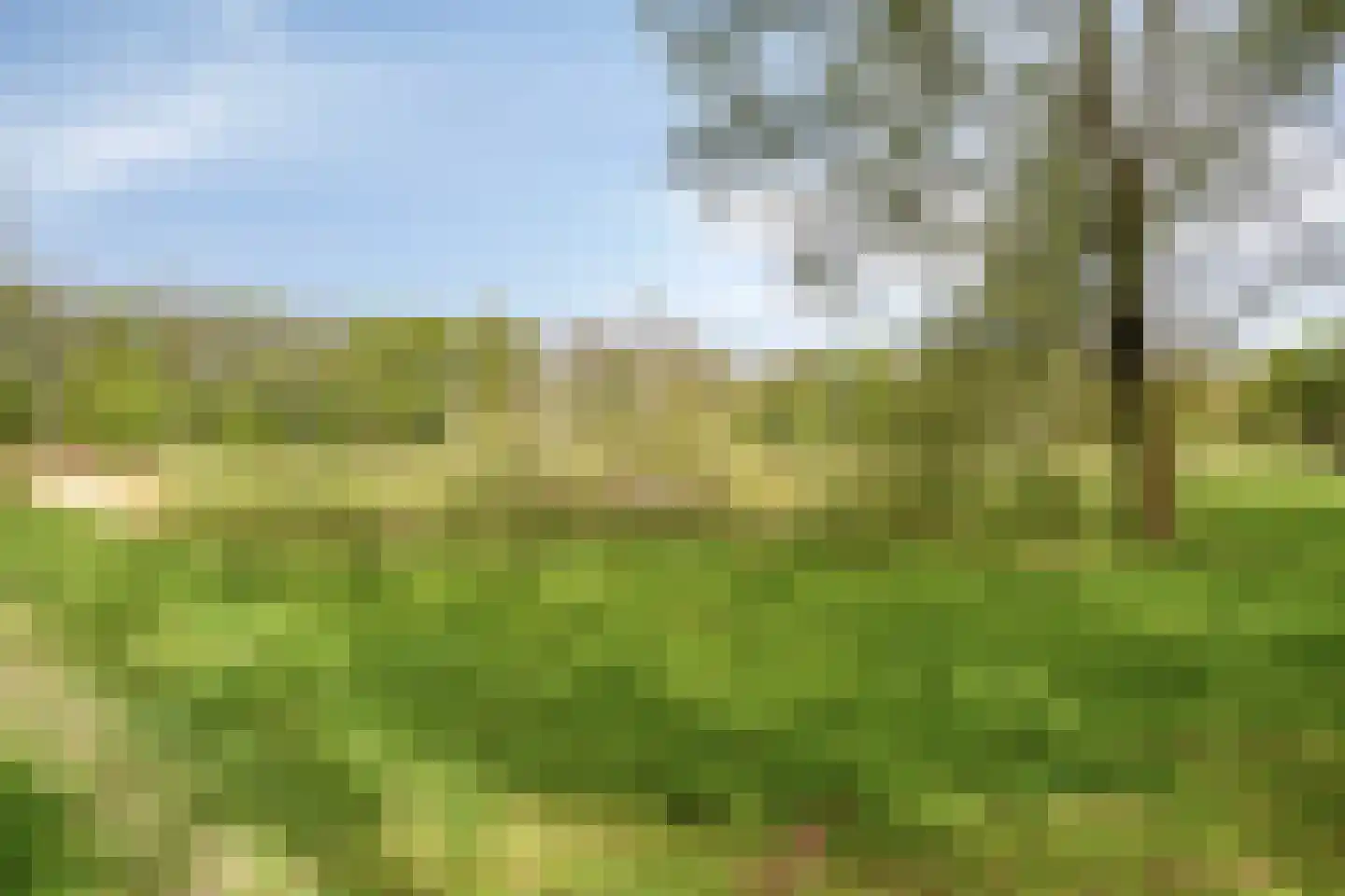 Kruiskampsingel 289 's-Hertogenbosch thumbnail 37