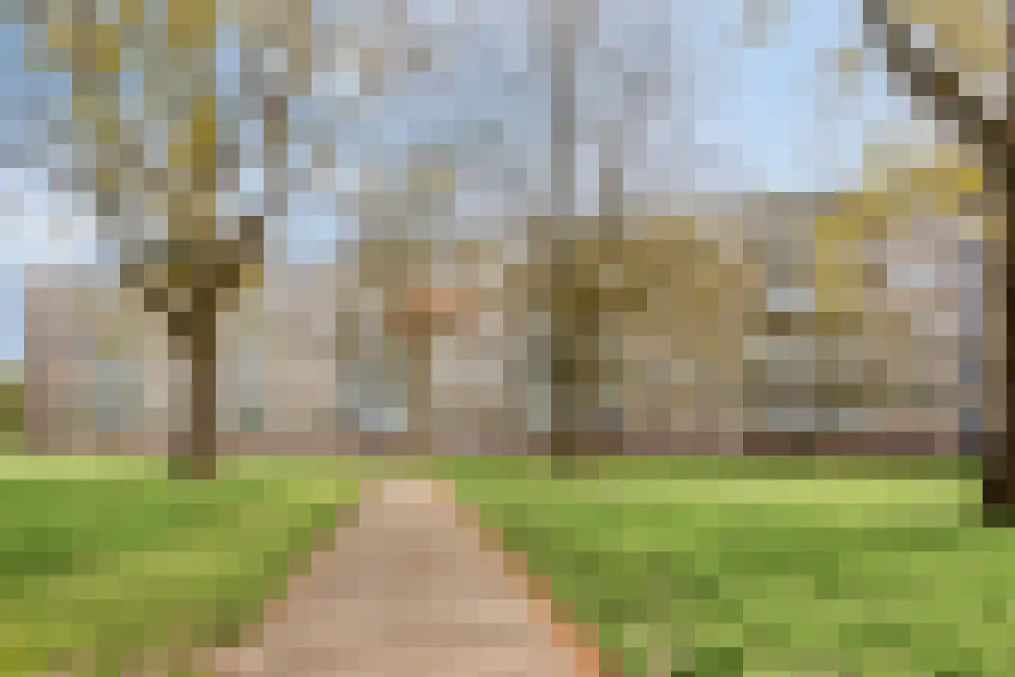 Kruiskampsingel 289 's-Hertogenbosch thumbnail 39