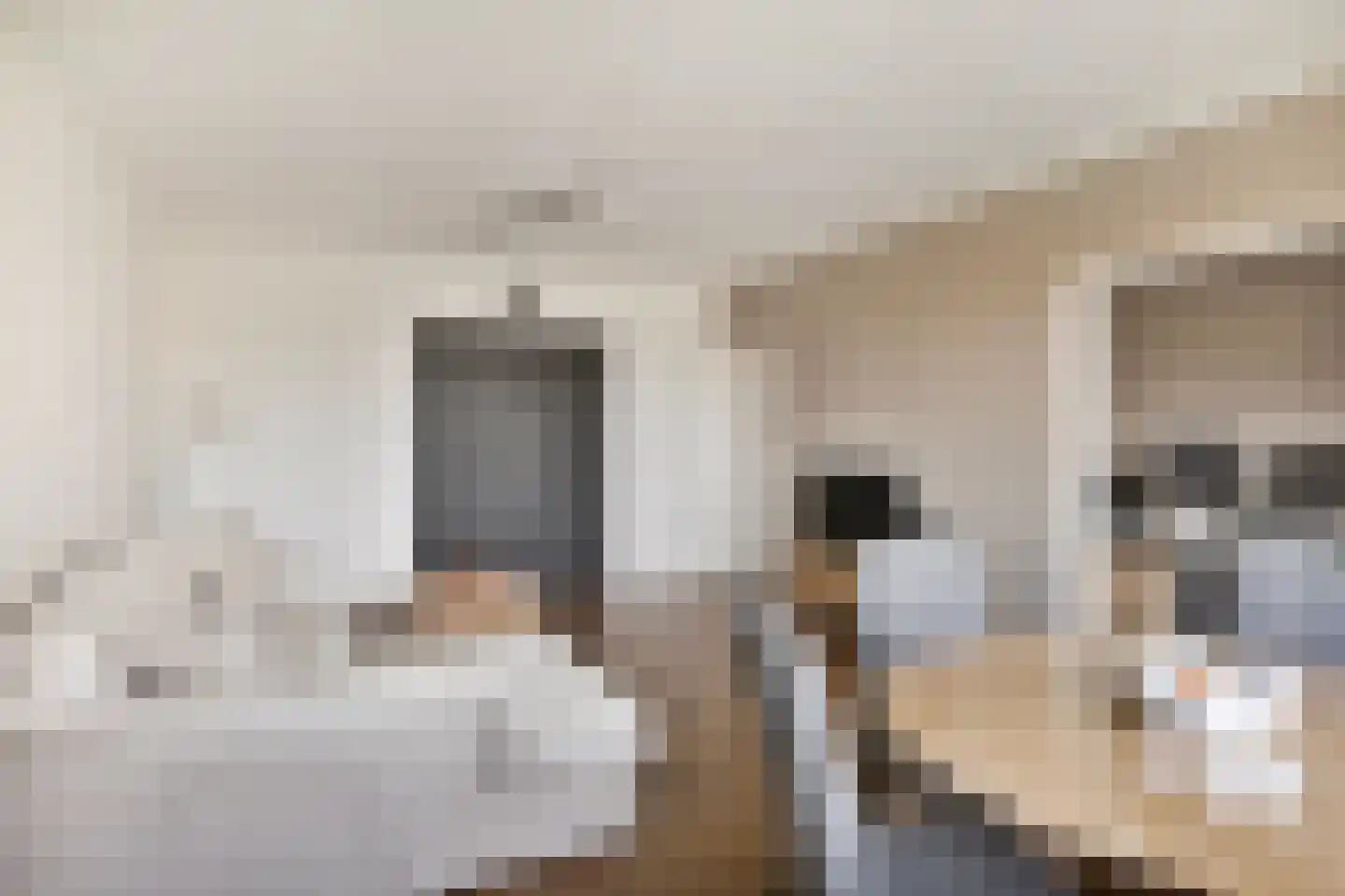 Kruiskampsingel 289 's-Hertogenbosch thumbnail 8