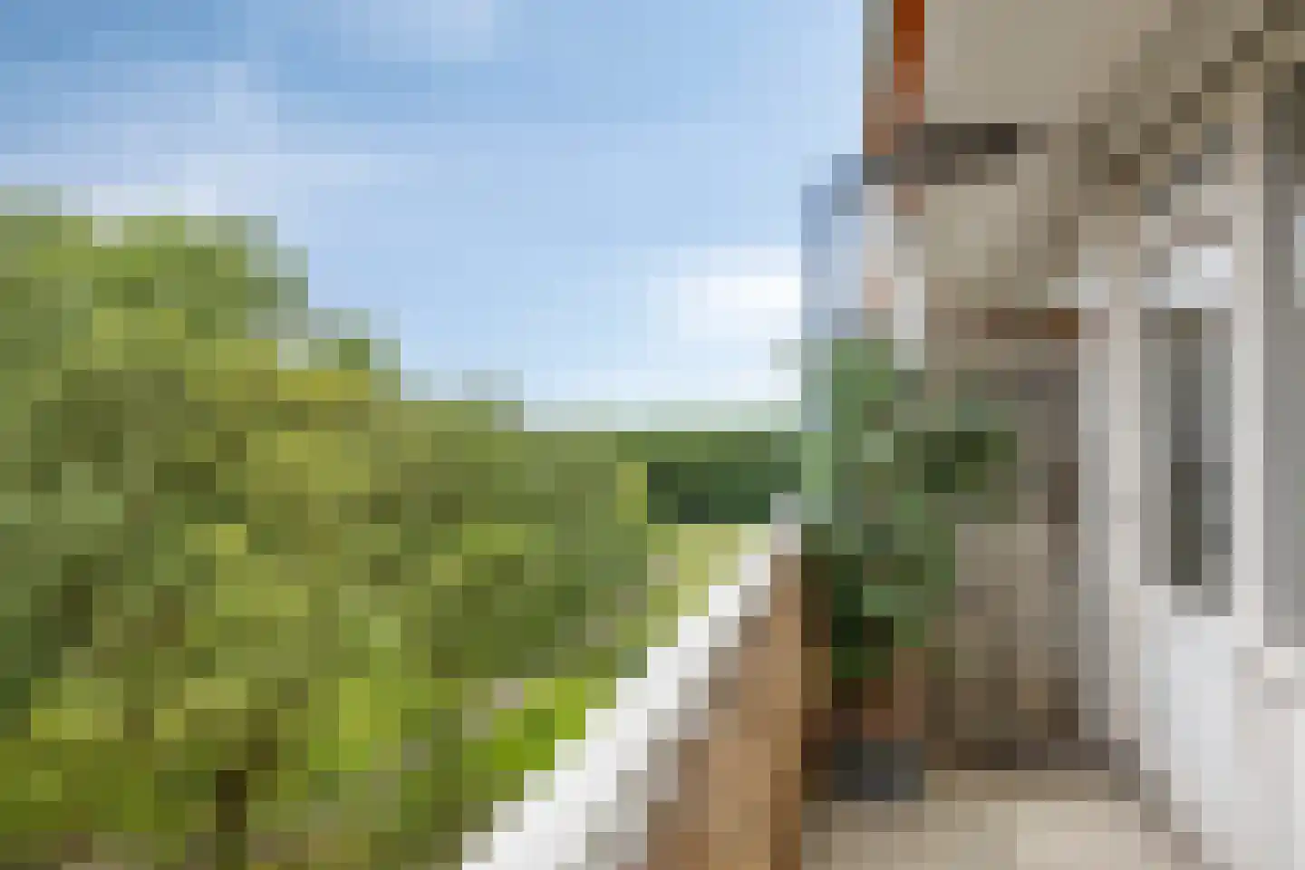 Kruiskampsingel 317 's-Hertogenbosch thumbnail 25