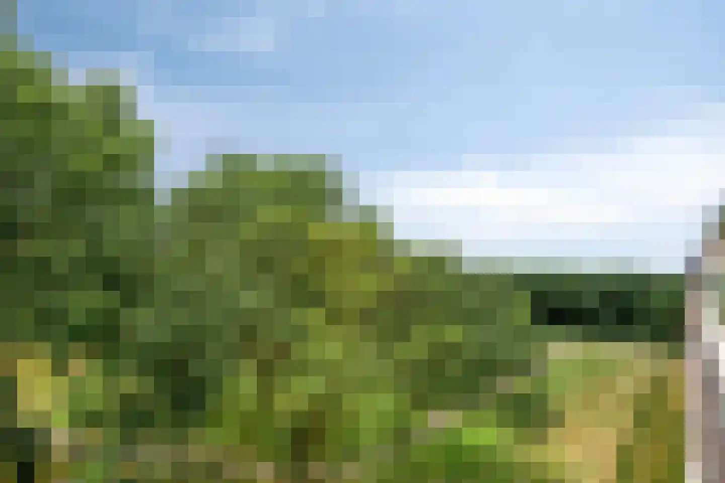 Kruiskampsingel 317 's-Hertogenbosch thumbnail 27