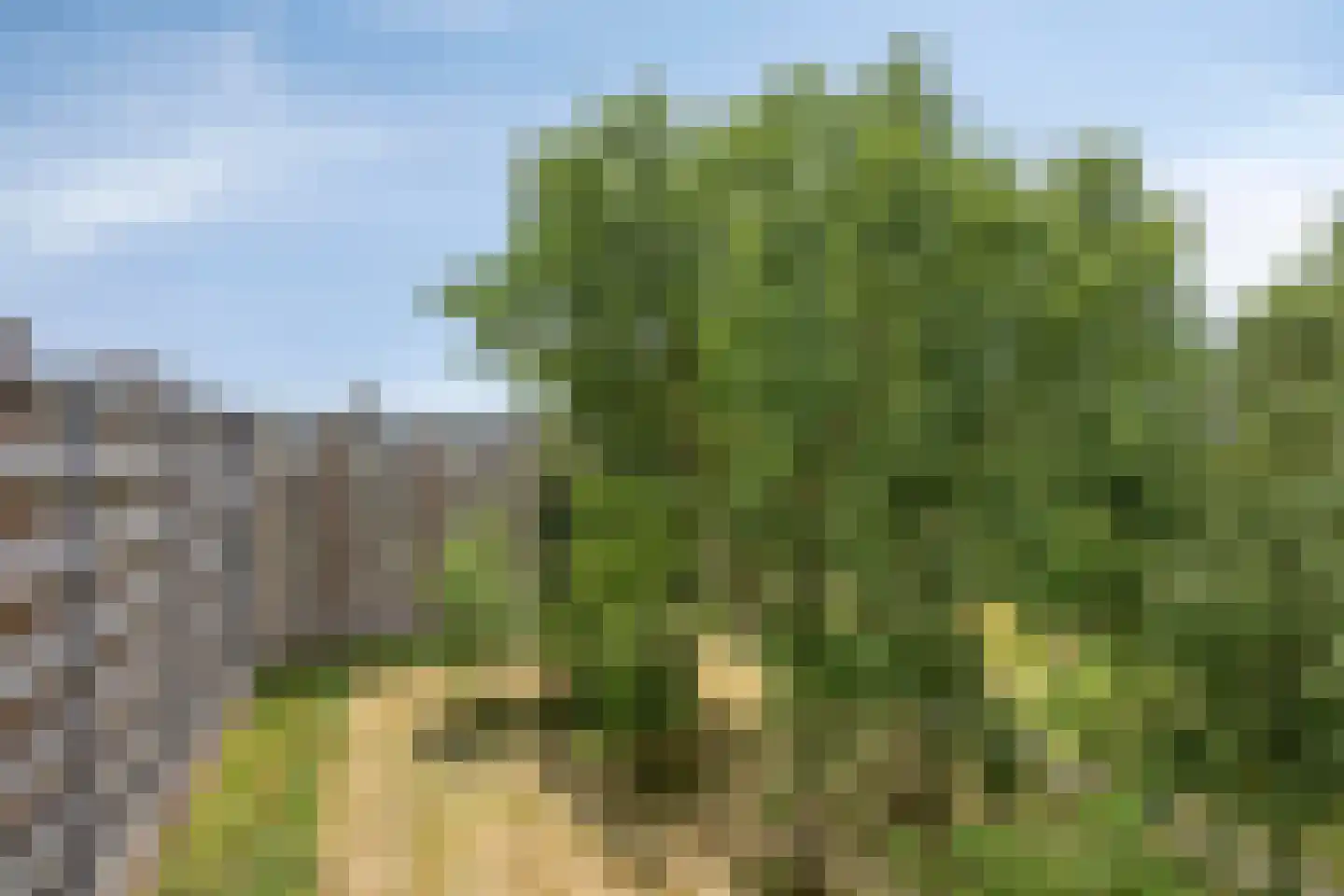 Kruiskampsingel 317 's-Hertogenbosch thumbnail 28