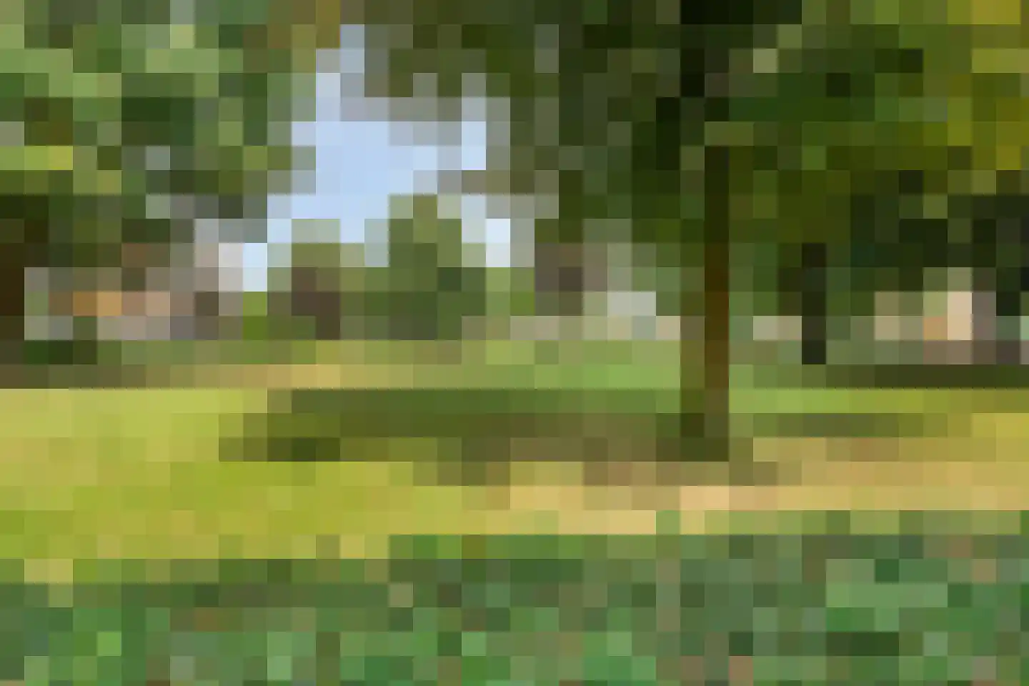 Kruiskampsingel 317 's-Hertogenbosch thumbnail 29