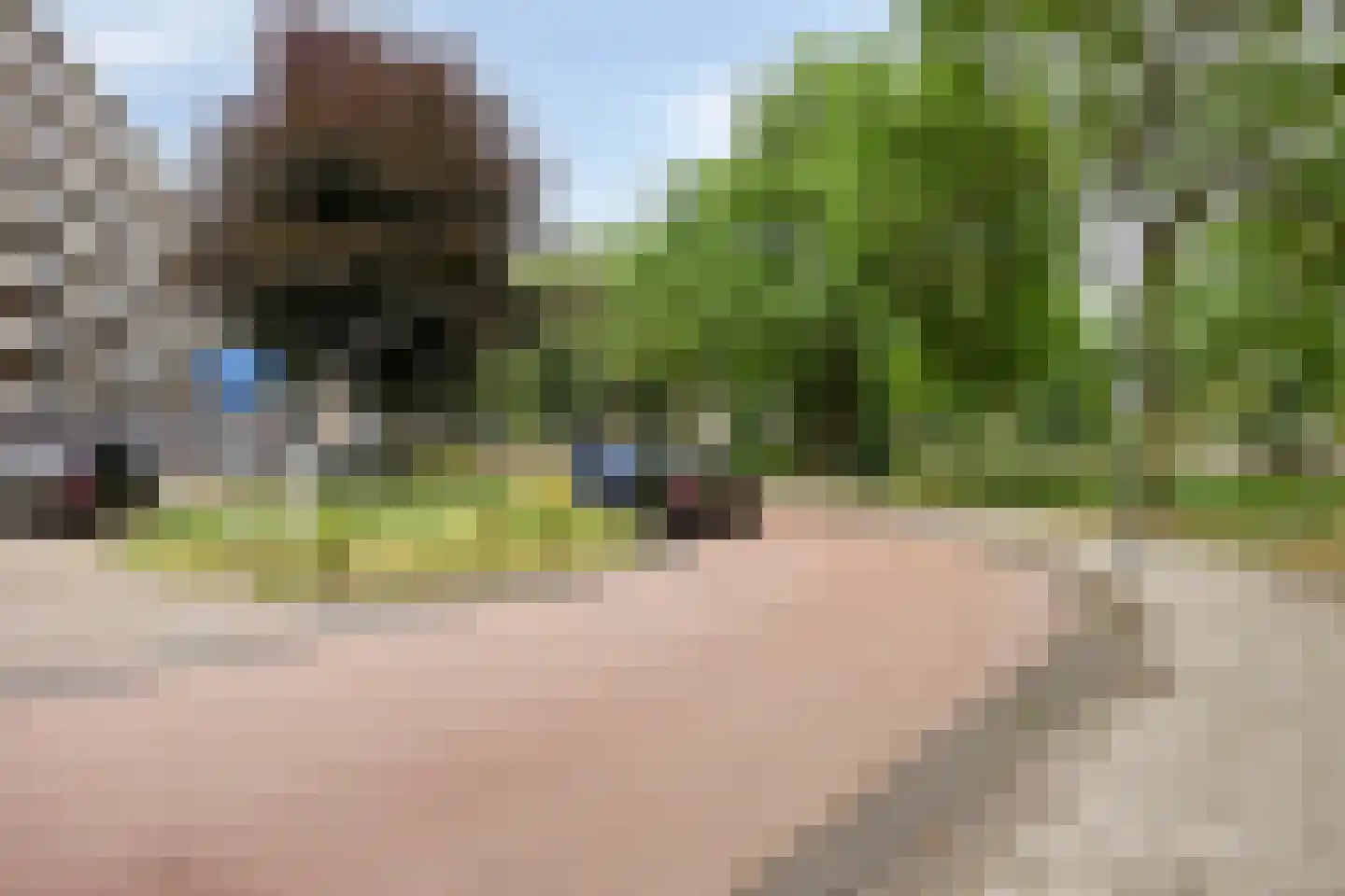 Kruiskampsingel 317 's-Hertogenbosch thumbnail 4
