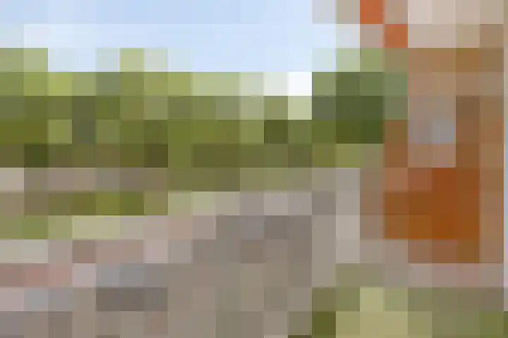 Kruiskampsingel 343 's-Hertogenbosch thumbnail 10