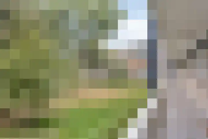 Kruiskampsingel 343 's-Hertogenbosch thumbnail 19