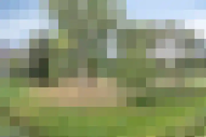Kruiskampsingel 343 's-Hertogenbosch thumbnail 20