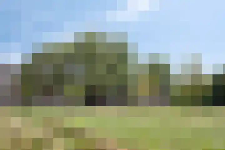 Kruiskampsingel 343 's-Hertogenbosch thumbnail 21