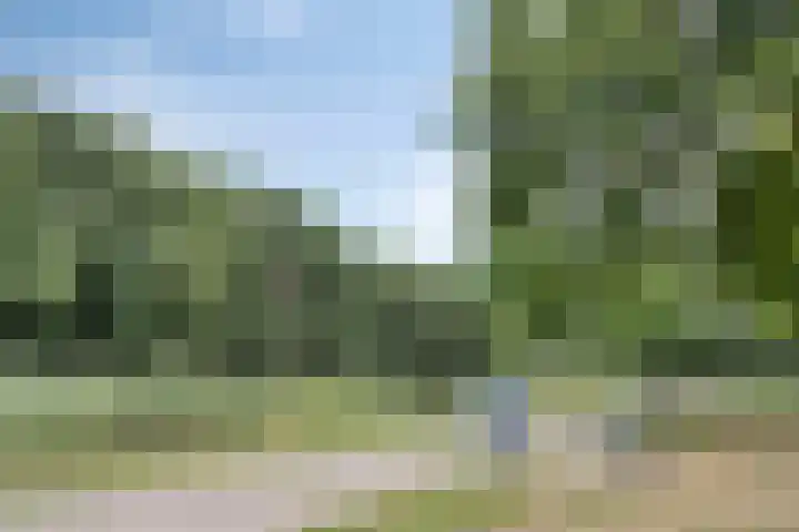 Kruiskampsingel 343 's-Hertogenbosch thumbnail 23