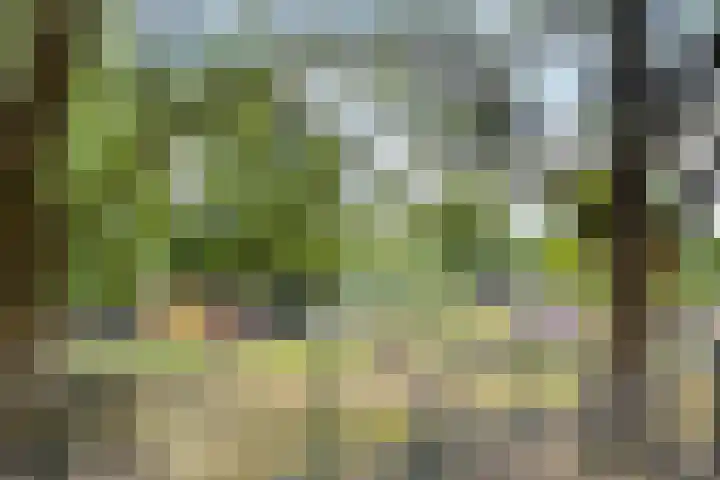 Kruiskampsingel 343 's-Hertogenbosch thumbnail 24