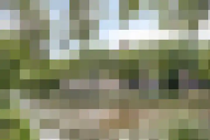 Kruiskampsingel 343 's-Hertogenbosch thumbnail 25