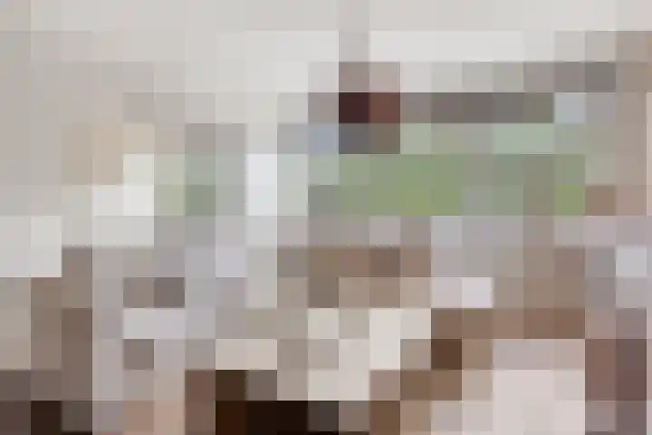 Kruiskampsingel 343 's-Hertogenbosch thumbnail 4