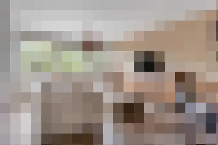 Kruiskampsingel 343 's-Hertogenbosch thumbnail 5