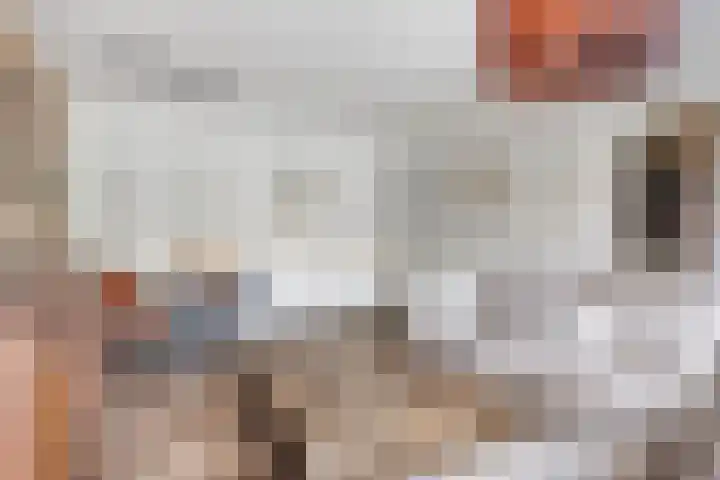 Kruiskampsingel 343 's-Hertogenbosch thumbnail 6