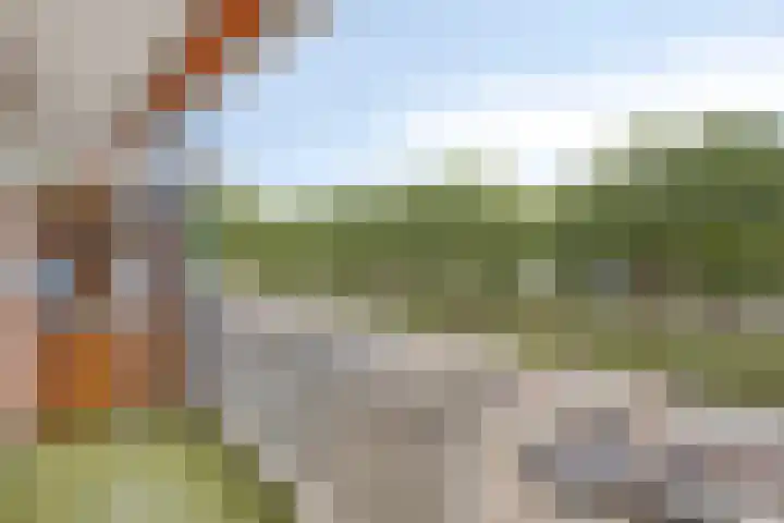 Kruiskampsingel 343 's-Hertogenbosch thumbnail 9
