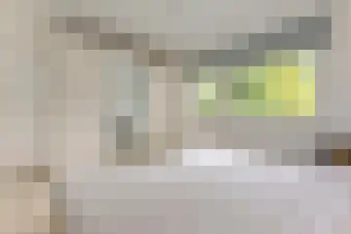 Kruiskampsingel 349 's-Hertogenbosch thumbnail 17