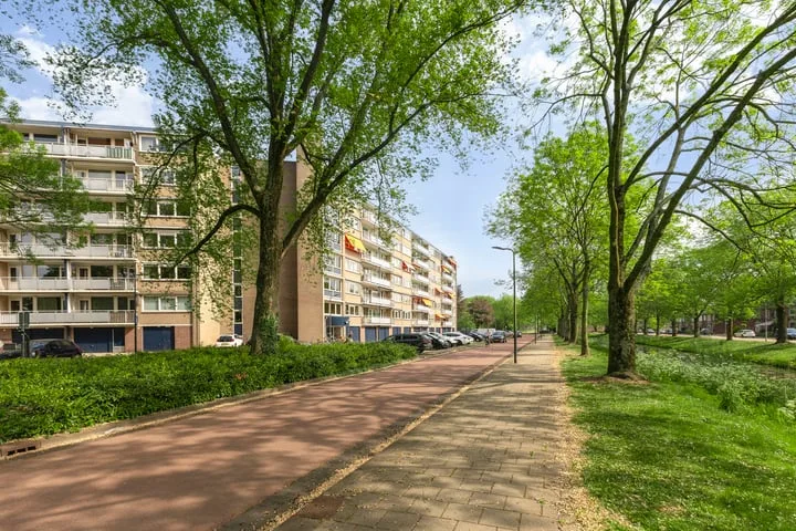 Kruiskampsingel 349 's-Hertogenbosch foto 2