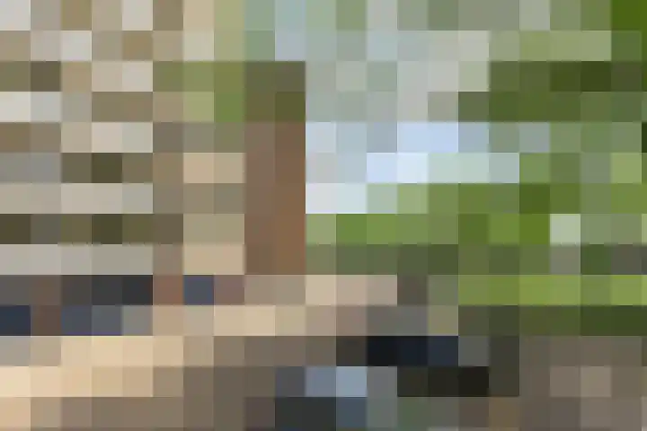 Kruiskampsingel 349 's-Hertogenbosch thumbnail 25