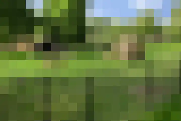 Kruiskampsingel 349 's-Hertogenbosch thumbnail 26
