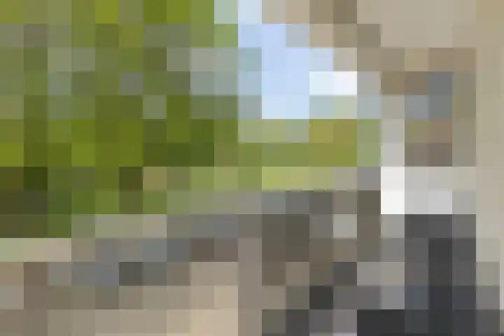 Kruiskampsingel 349 's-Hertogenbosch thumbnail 4