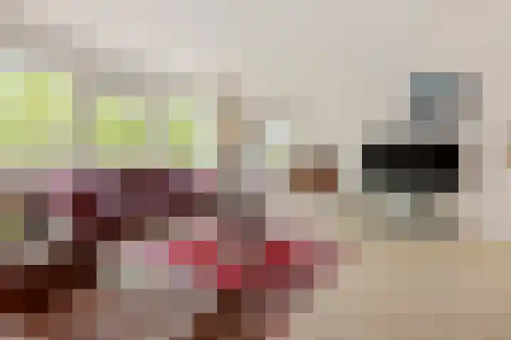 Kruiskampsingel 349 's-Hertogenbosch thumbnail 5