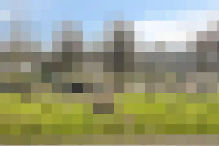 Kruiskampsingel 355 's-Hertogenbosch thumbnail 26