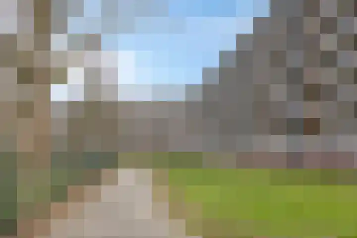Kruiskampsingel 355 's-Hertogenbosch thumbnail 6