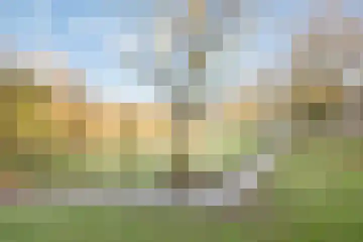 Kruiskampsingel 357 's-Hertogenbosch thumbnail 10