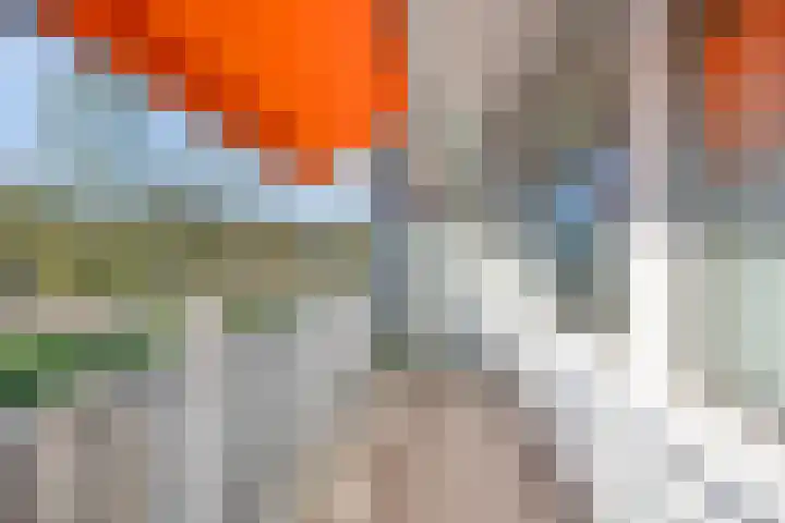 Kruiskampsingel 357 's-Hertogenbosch thumbnail 7