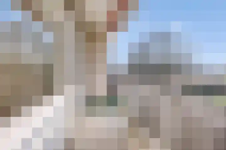 Kruiskampsingel 357 's-Hertogenbosch thumbnail 8