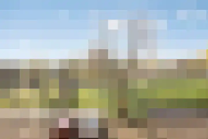 Kruiskampsingel 357 's-Hertogenbosch thumbnail 9