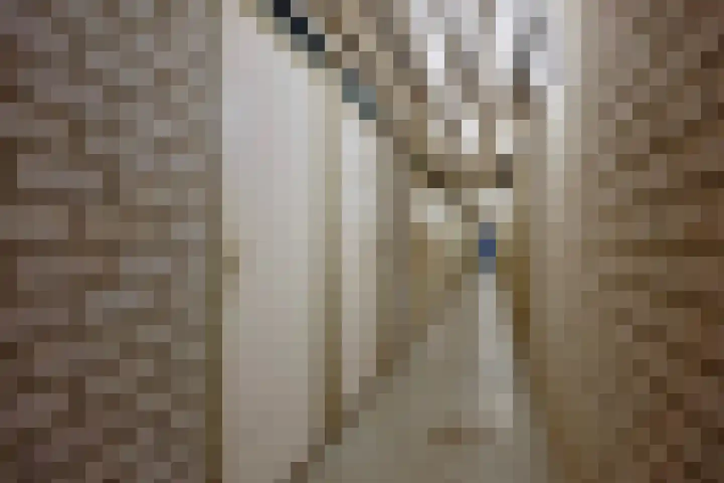 Kruiskampsingel 359 's-Hertogenbosch thumbnail 35