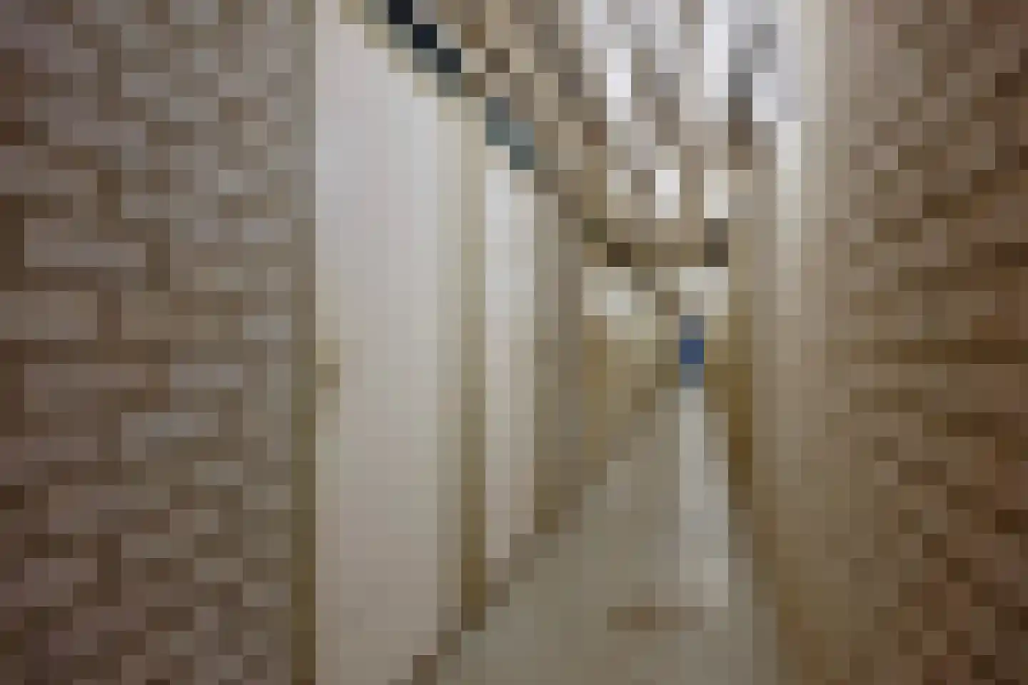 Kruiskampsingel 359 's-Hertogenbosch thumbnail 35