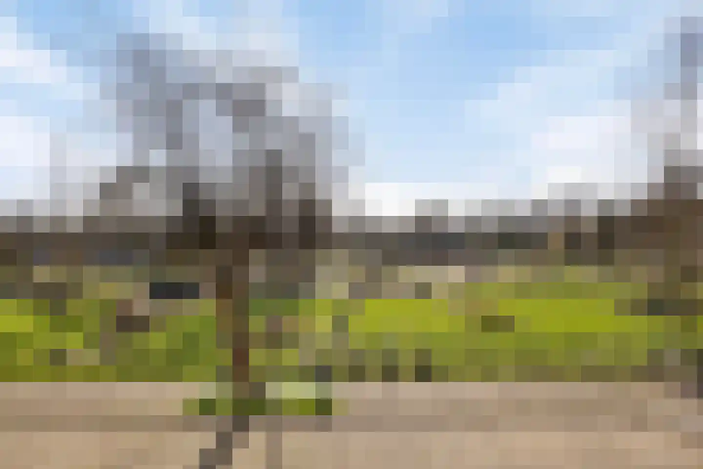 Kruiskampsingel 359 's-Hertogenbosch thumbnail 9